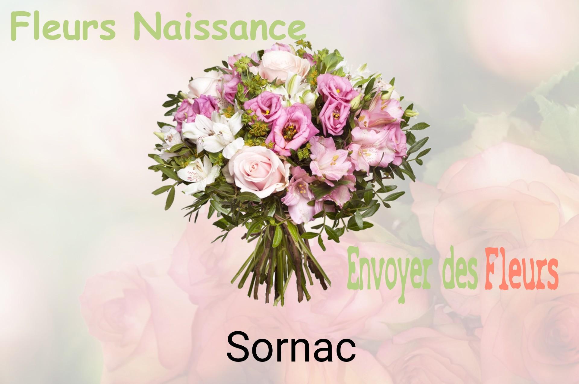 Bouquet de fleurs de naissance livré à Sornac